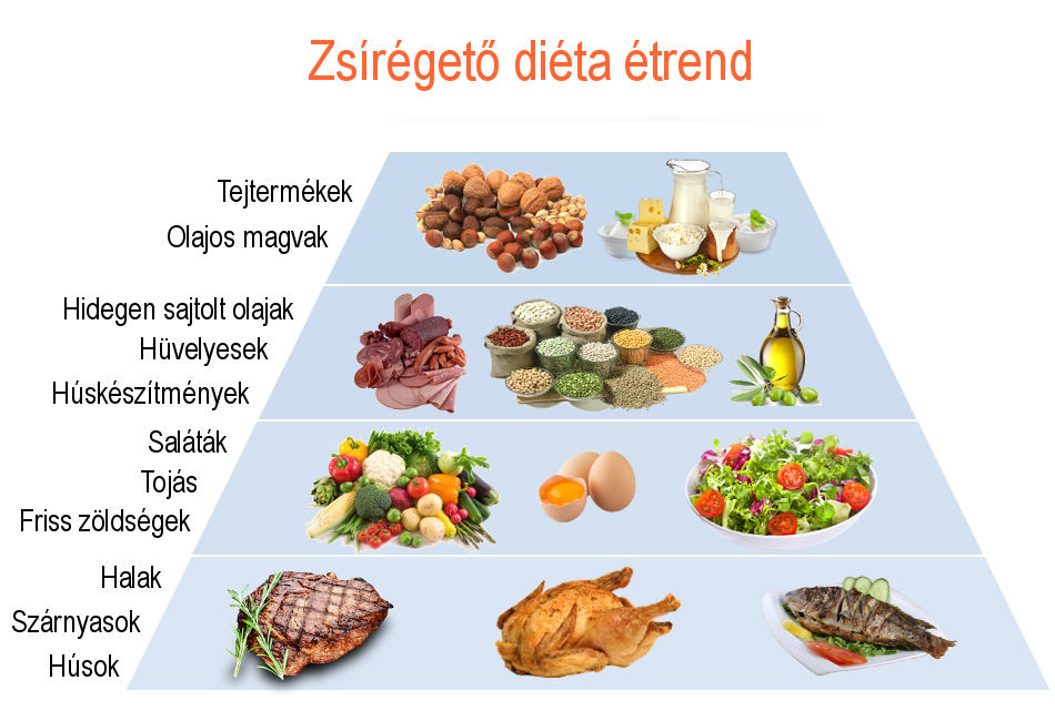 protein diéta mintaétrend